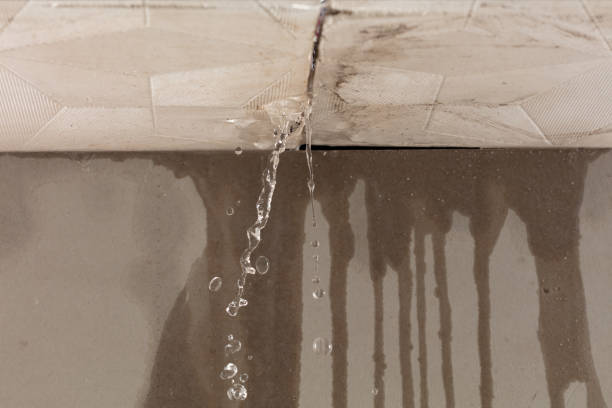 Professional Water Extraction technician working in Cranbury, NJ
